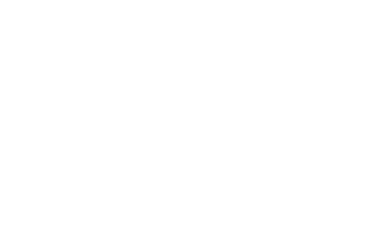 PL Vinduespolering Logo